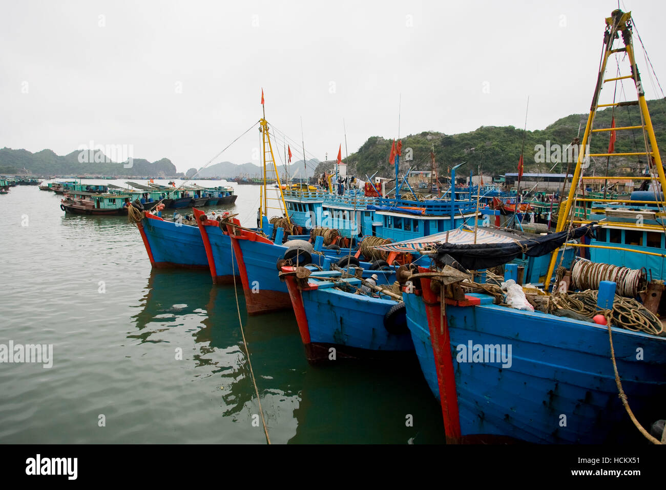 Barche da pesca il riempimento del porto di Cat Ba Island, situato vicino la famosa baia di Halong in Vietnam. Foto Stock