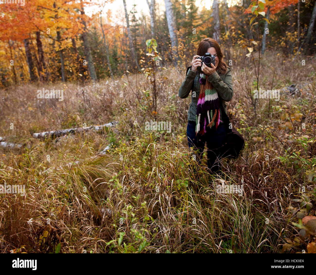 Selma Fernandez scatta una fotografia durante l'altezza del colore di autunno a Lutsen Ski Area, Minnesota, Autunno 2010. Foto Stock