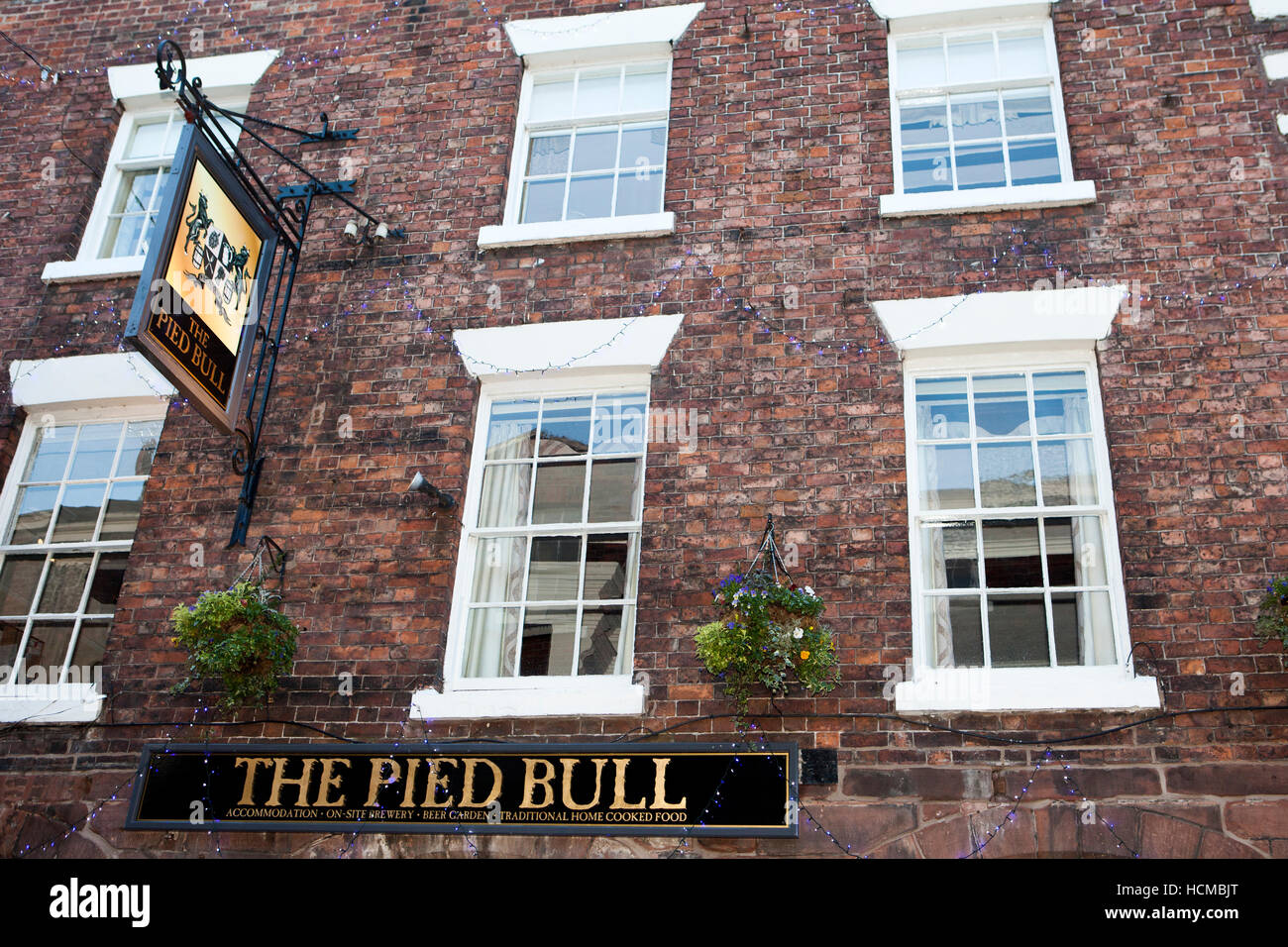 "The Pied Bull' pub segno nella storica città di Chester, Inghilterra, Regno Unito. Foto Stock