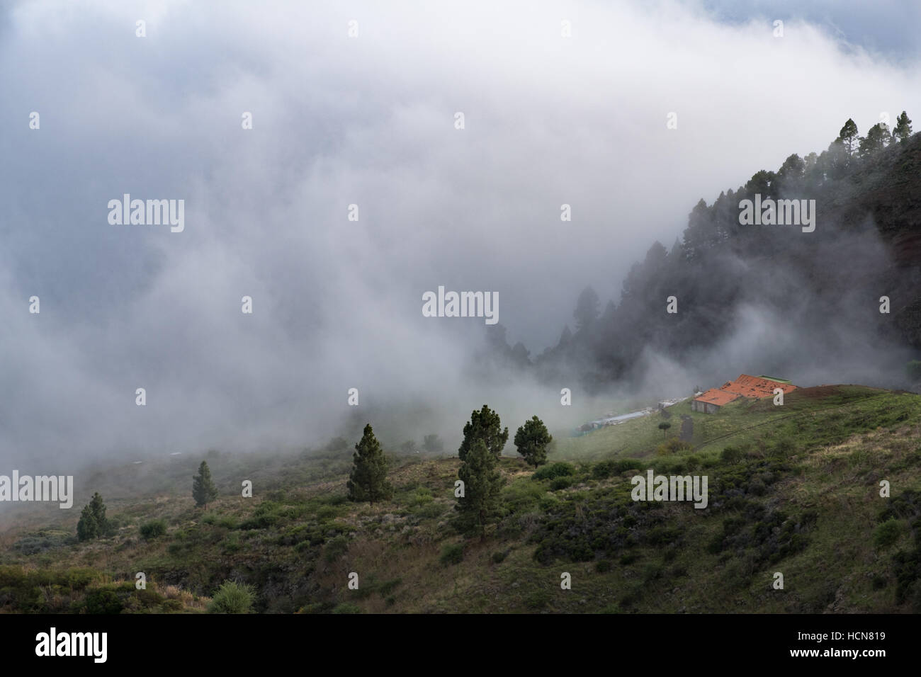 Casa sulla collina verde in Spesse nuvole / nebbia Foto Stock