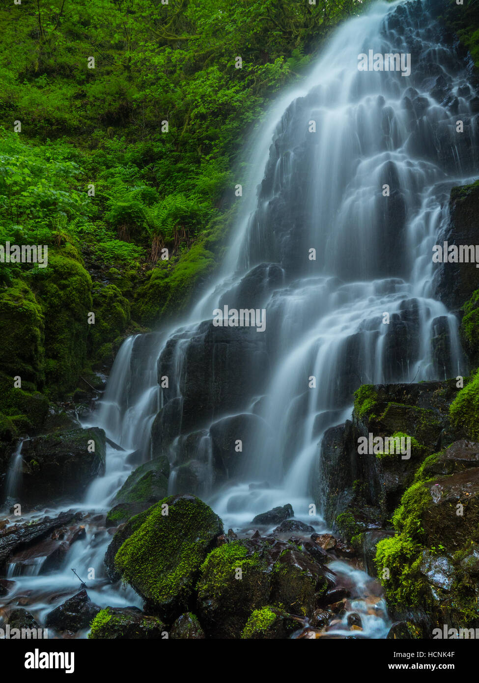 La bella fata cade nella Columbia River Gorge, Oregon Foto Stock