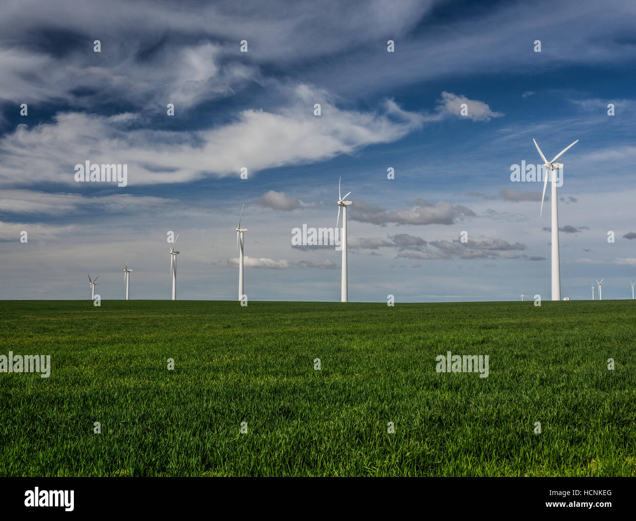 Una fila di turbine eoliche su un rotolamento campo erboso recede nella distanza Foto Stock