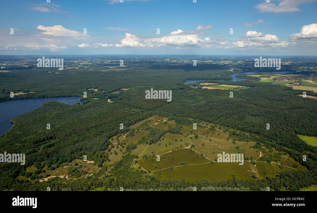 Vista aerea del Westruper heath, Haltern riserva naturale della Ruhr, Renania settentrionale-Vestfalia, Germania Foto Stock