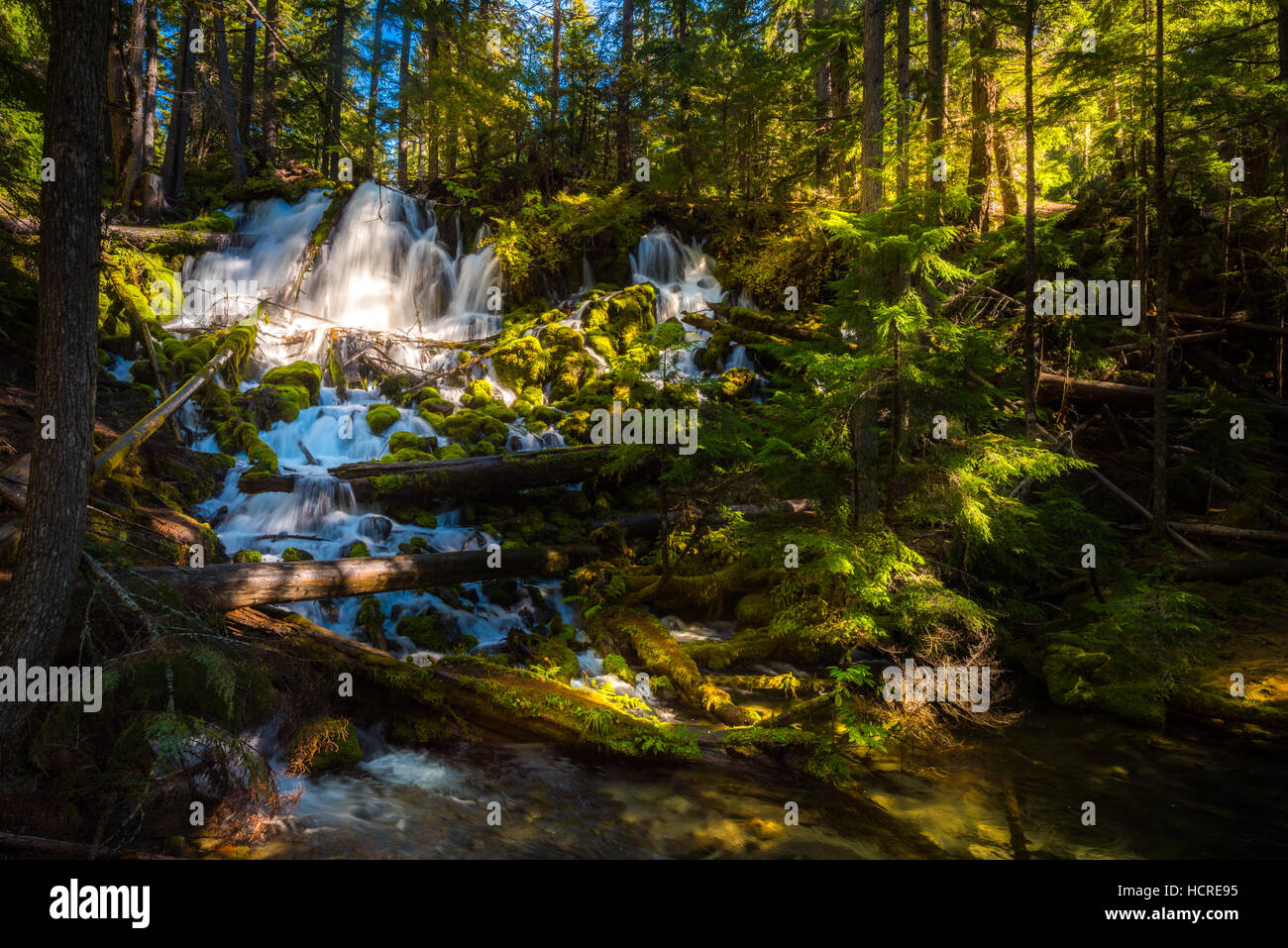 Clearwater Falls Douglas County, Oregon Foto Stock