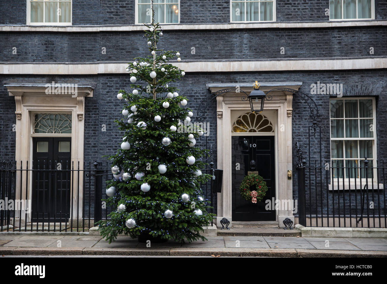 Londra, Regno Unito. 9 dicembre, 2016. Di Downing Street albero di Natale, quasi un 22-piede Tannenbaum donati dalla struttura Il Fienile. Foto Stock