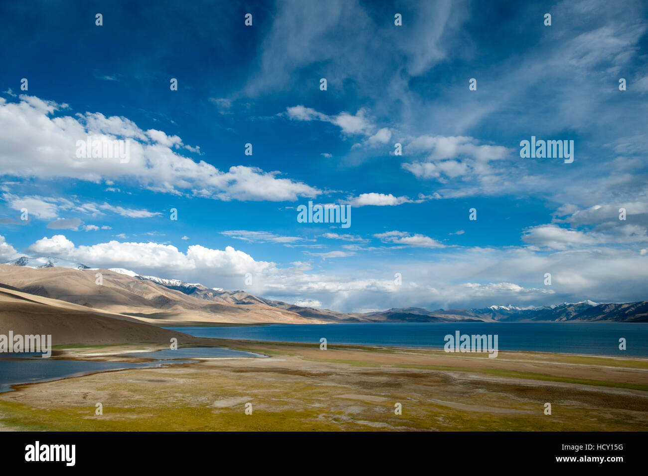 La funzionalità TSO Moriri lake, Ladakh, India Foto Stock