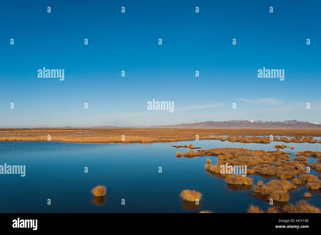 Huahu (Fiore lago), una zona umida che supporta una vasta gamma di biodiversità sul plateau tibetano, nella provincia di Sichuan, in Cina Foto Stock