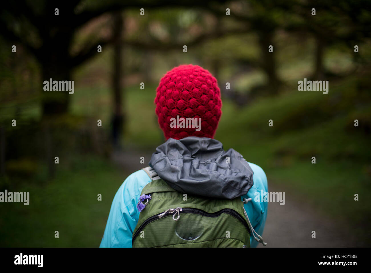 Una donna cammina nel bosco vicino a Grasmere nel Distretto del Lago, Cumbria, Regno Unito Foto Stock