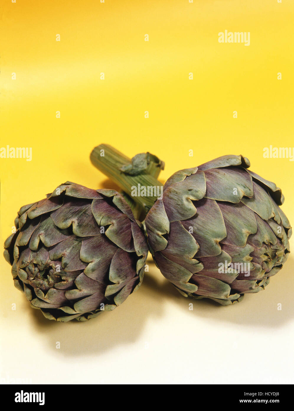 BOCCIOLI DI CARCIOFO Foto Stock