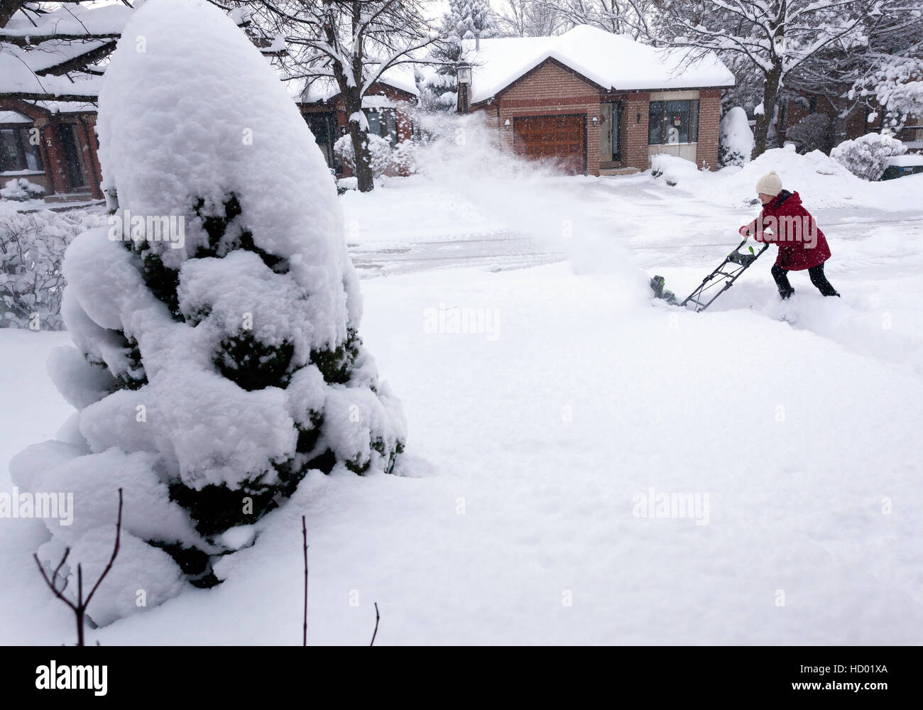Donna che utilizza eco-friendly Snow Plough aratura è la sua strada in inverno con un sacco di neve fresca in Ontario, Canada Foto Stock