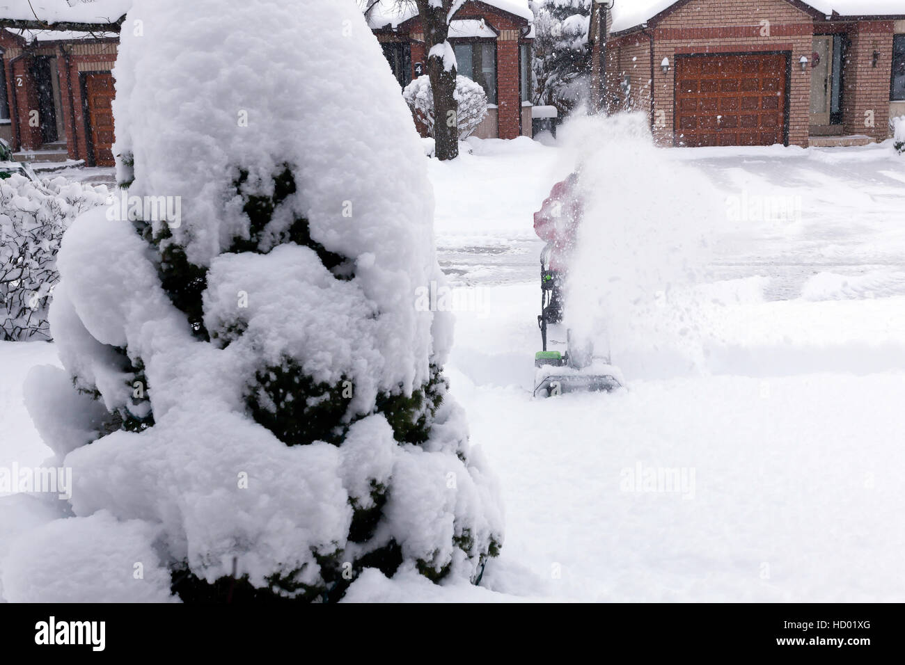 Donna che utilizza eco-friendly Snow Plough aratura è la sua strada in inverno con un sacco di neve fresca in Ontario, Canada Foto Stock