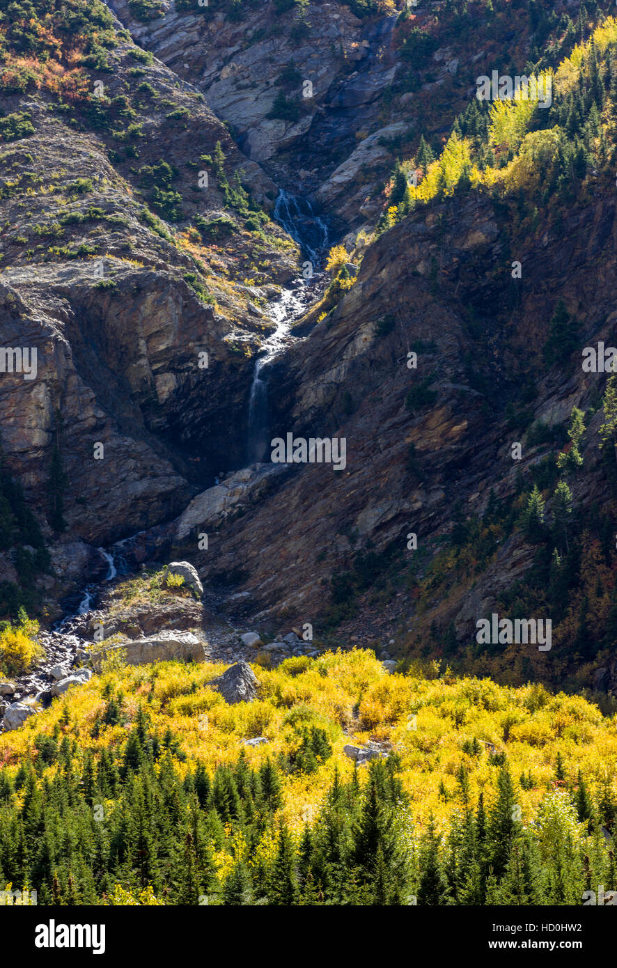 Aspen alberi in autunno a colori, la cascata di Canyon, il Parco Nazionale del Grand Teton, Wyoming; USA Foto Stock