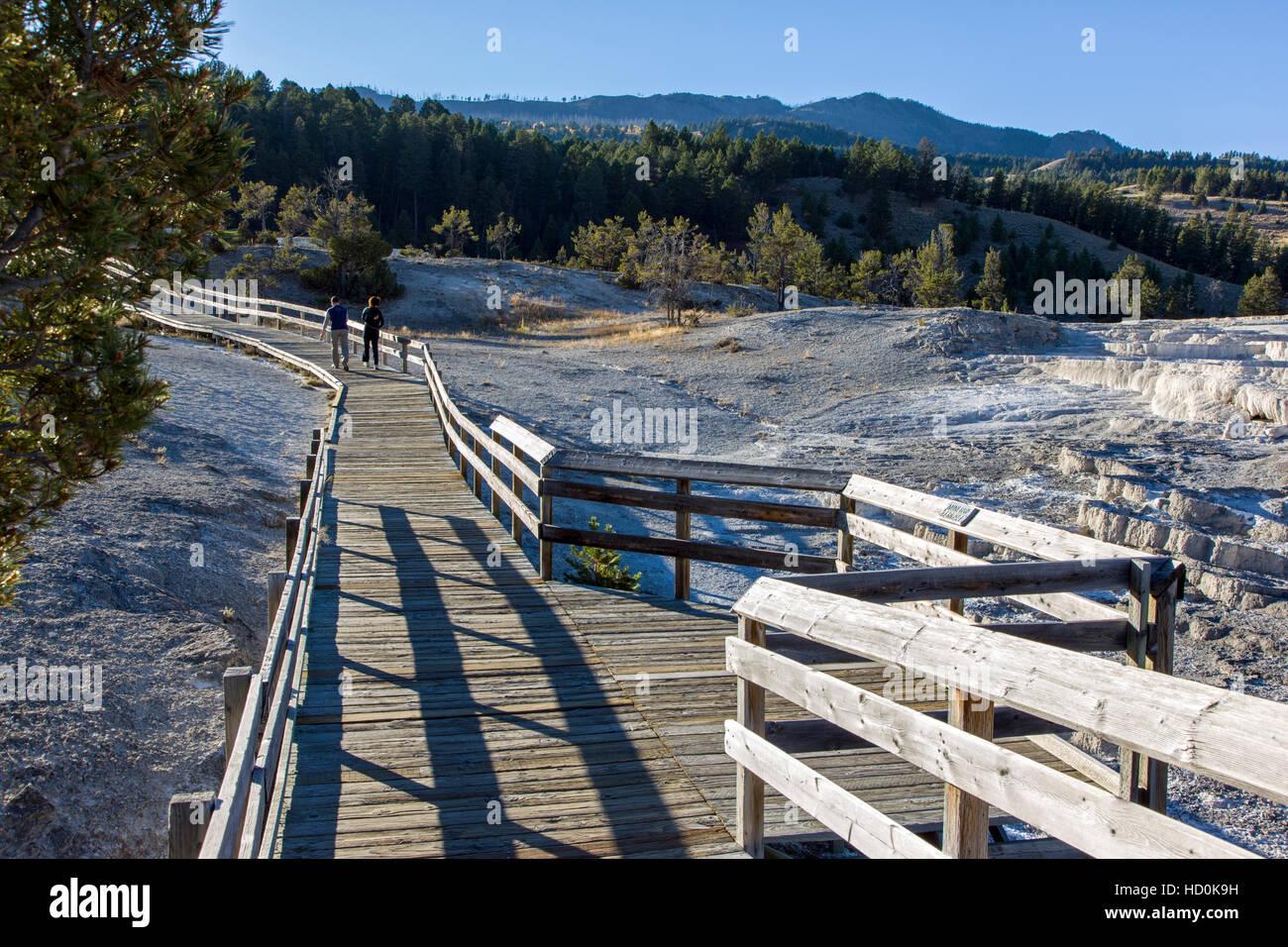 I turisti a piedi sul lungomare a Mammoth Hot Springs, il Parco Nazionale di Yellowstone; Wyoming; USA; Foto Stock