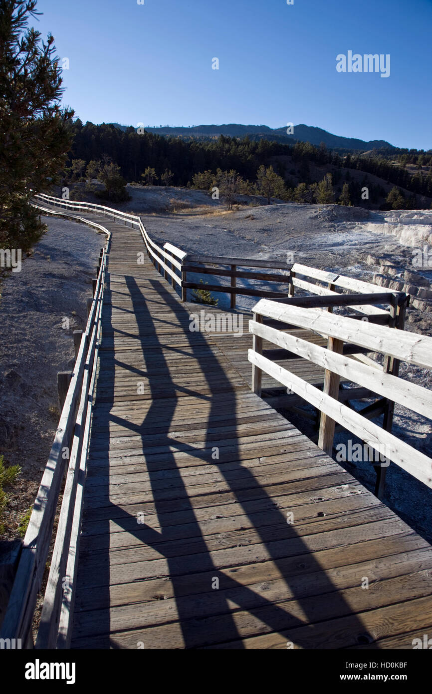 Il Boardwalk a Mammoth Hot Springs, il Parco Nazionale di Yellowstone; Wyoming; USA; Foto Stock