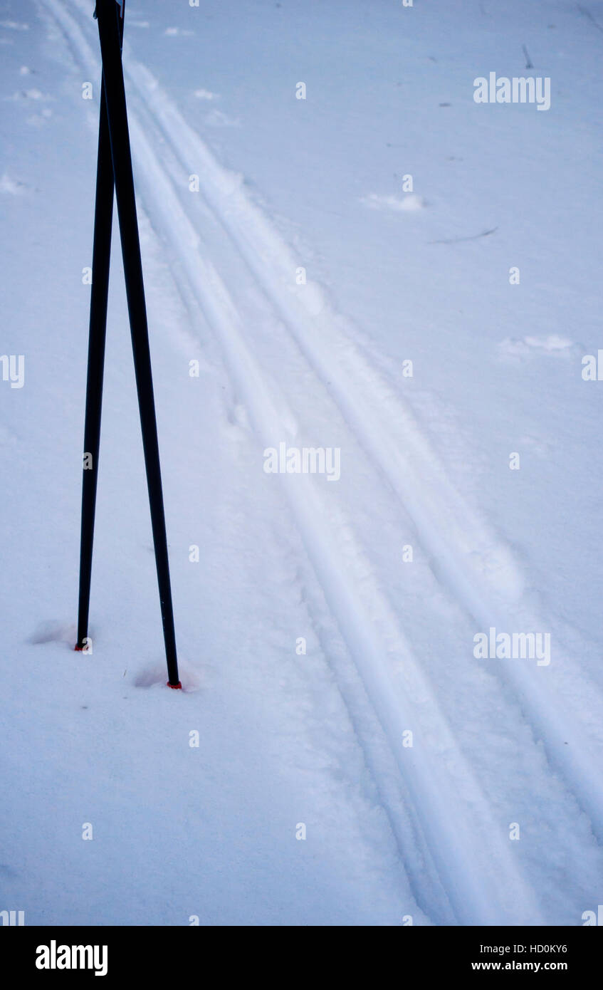 Pista per lo sci di fondo e racchette nella neve, Sfondo Inverno Foto Stock