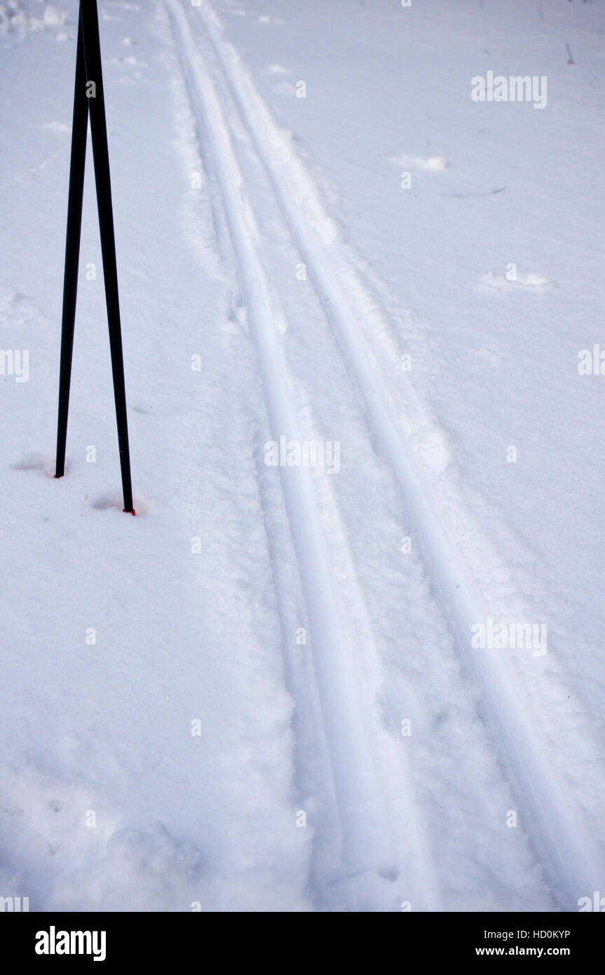 Pista per lo sci di fondo e racchette nella neve, Sfondo Inverno Foto Stock