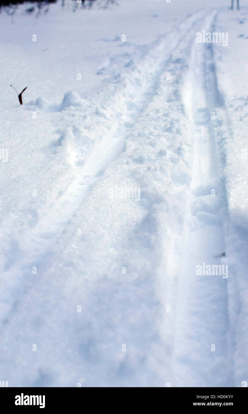 Pista per lo sci di fondo, l'inverno la neve sullo sfondo Foto Stock