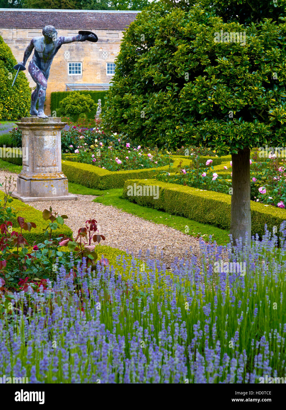 Lavanda in rosa Parterre Grimsthorpe Castle in Lincolnshire England Regno Unito home del De Eresby famiglia dal 1516 Foto Stock