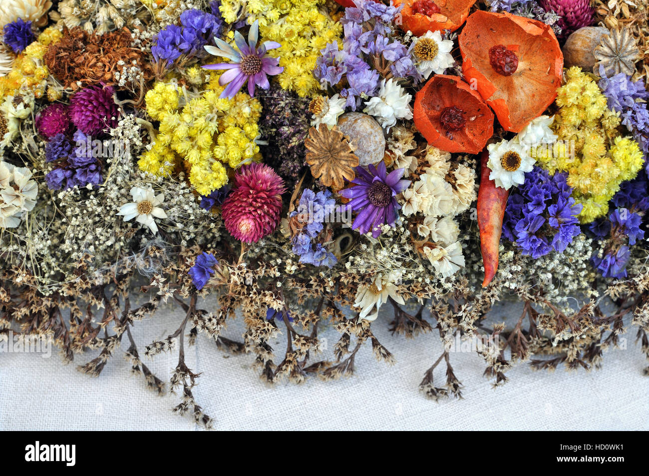 Set di wild fiori secchi in composizione astratta Foto Stock