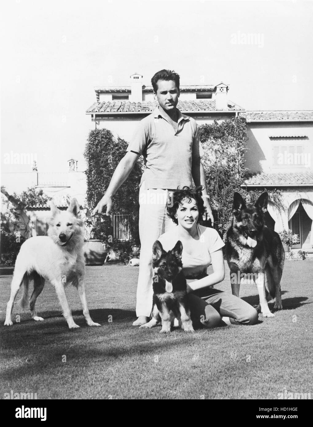 Gina Lollobrigida (inginocchiato) e marito Milko Skofic a casa con i loro cani, tardi anni cinquanta Foto Stock