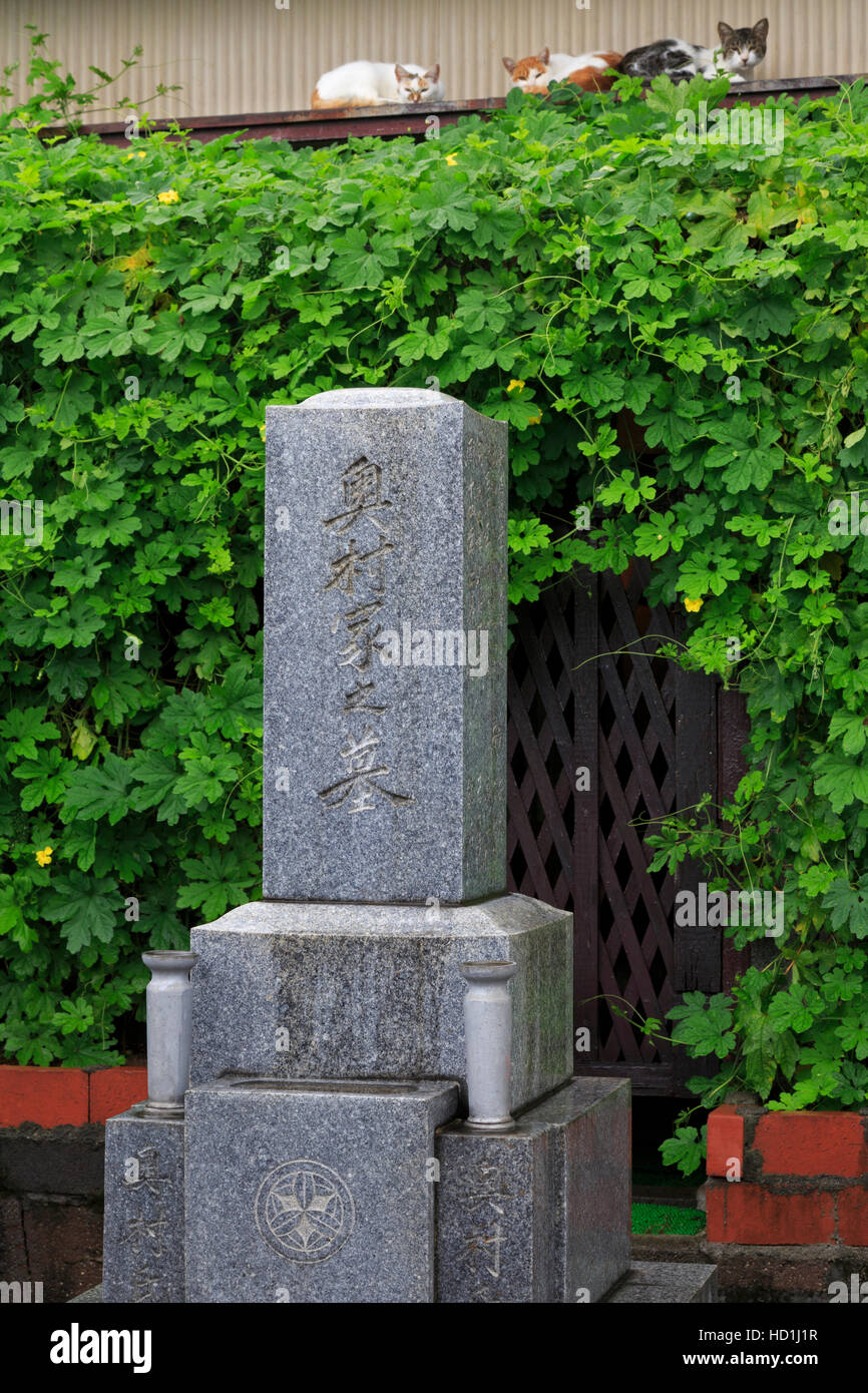Cimitero, Shimizu, città di Shizuoka, Giappone, Asia Foto Stock