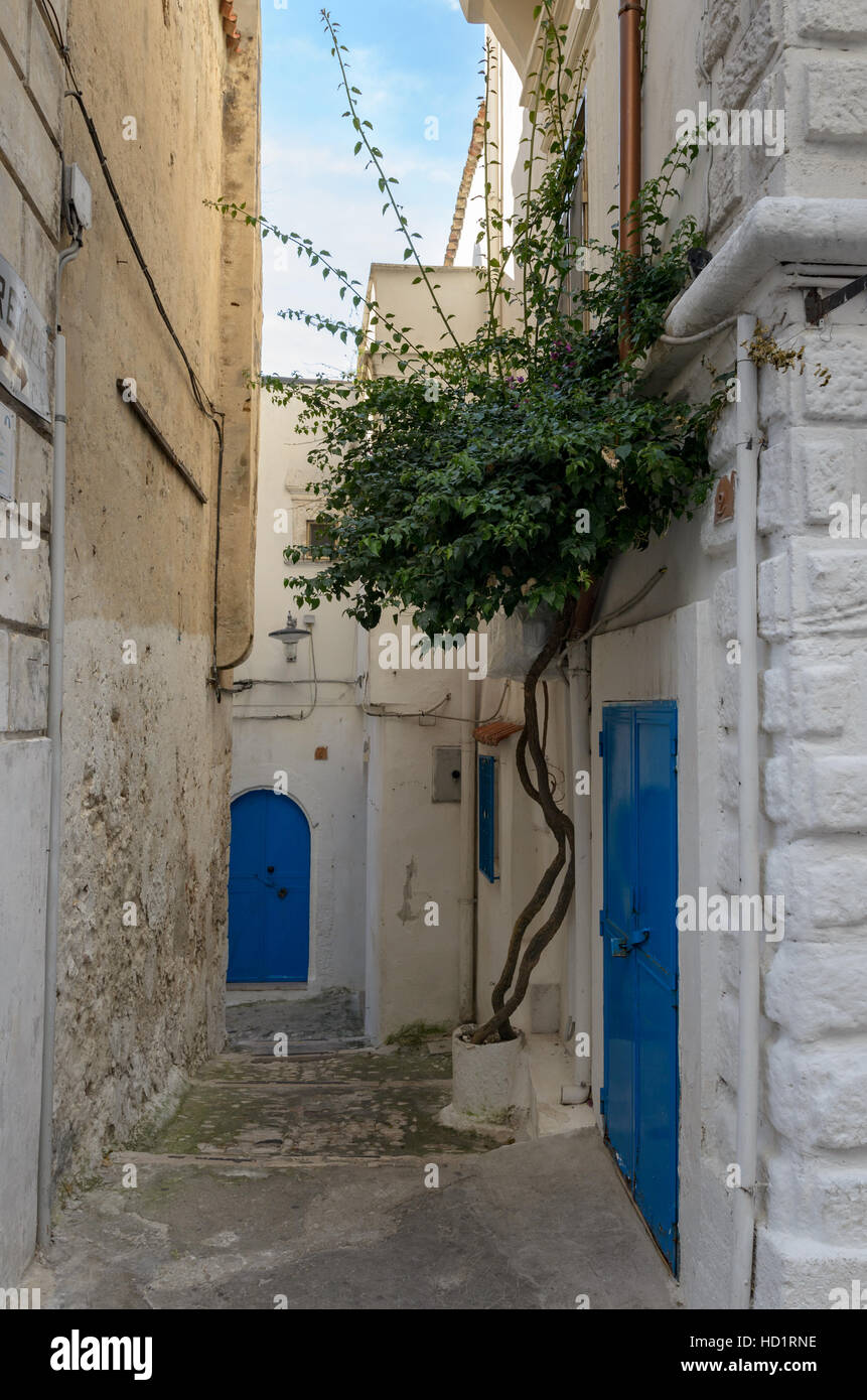 Peschici (Puglia, Italia) tipico vicolo antico con case bianche Foto Stock