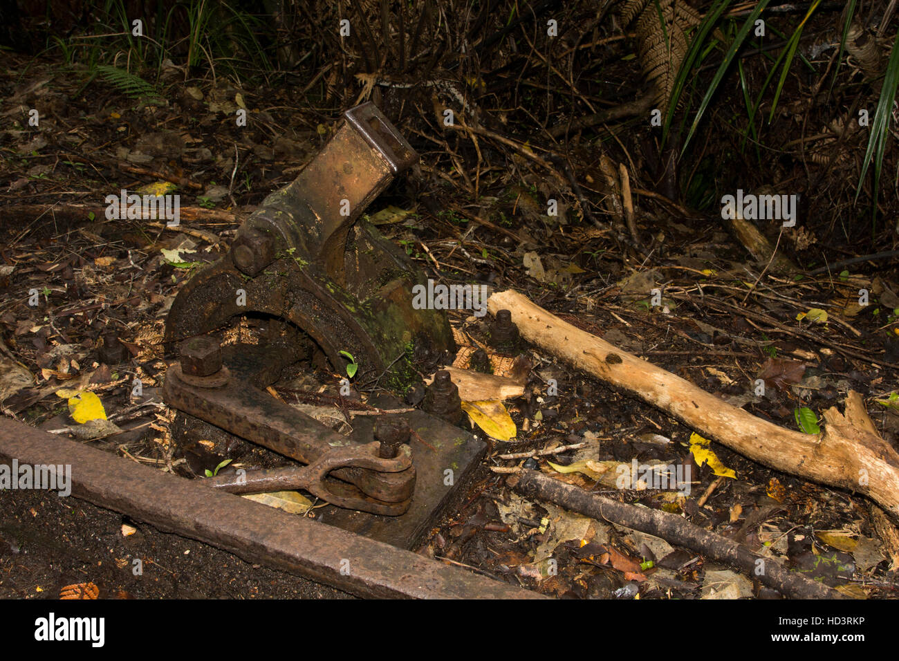 Un interruttore ferroviaria restano ancora lungo la vecchia linea ferroviaria che collegava incantevole insenatura della miniera di carbone con la Nuova Zelanda la costa. Foto Stock