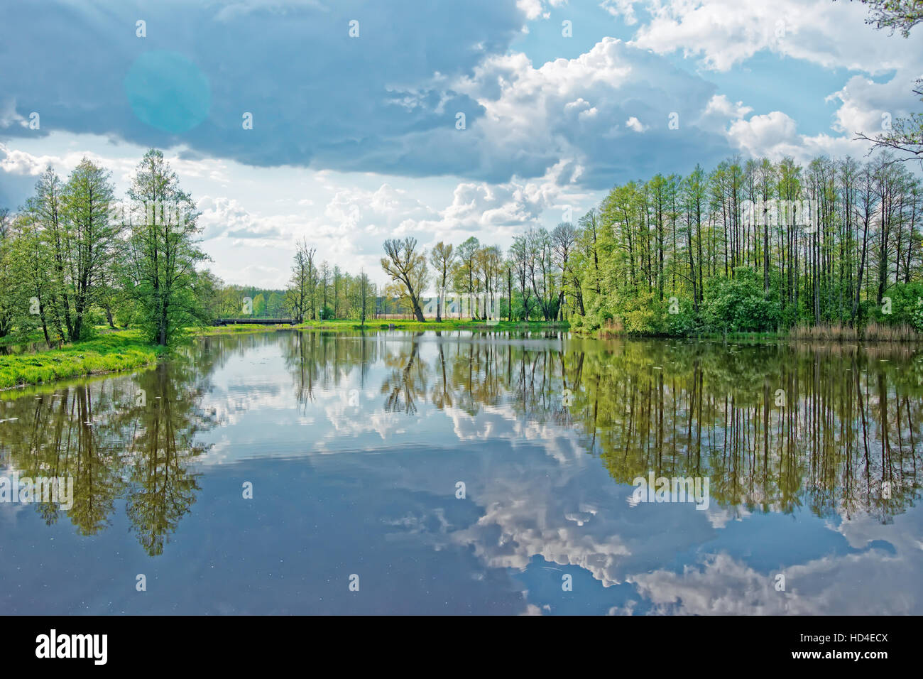 Gli alberi si riflette in un stagno di Bialowieza Parco Nazionale come una parte di Belovezhskaya Pushcha parco nazionale in Polonia. Foto Stock