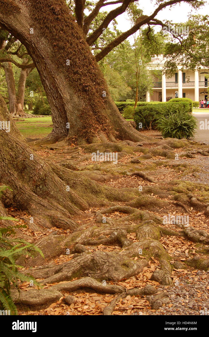 Antebellum piantagione di zucchero sulle rive del fiume Mississippi Foto Stock