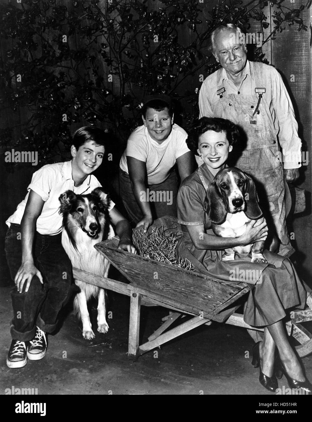 LASSIE, Tommy Rettig, Lassie, Donald Keeler, Jan Clayton, George Cleveland, 1954-1974, 1956 episodio Foto Stock