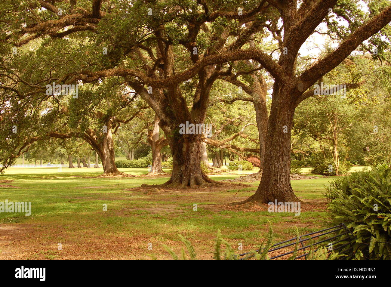 Antebellum piantagione di zucchero sul fiume Mississippi in Louisiana USA Foto Stock