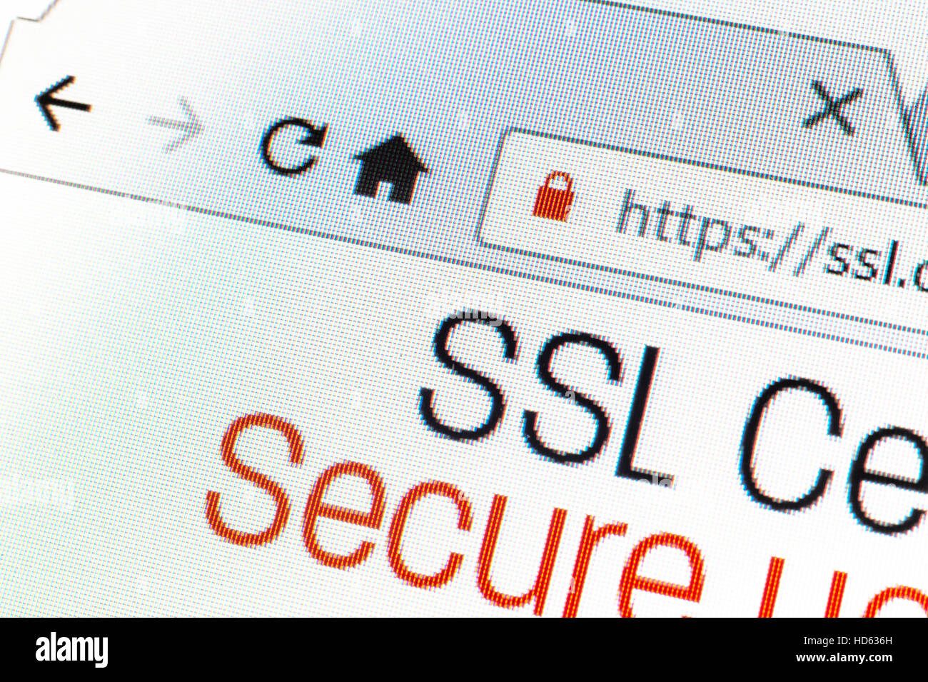 Https indirizzo url e il simbolo di bloccaggio durante la connessione SSL Foto Stock