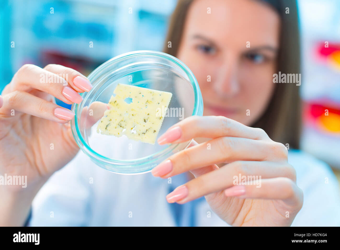 Modello rilasciato. Giovane donna studiando il formaggio in capsula di petri in cibo laboratorio di controllo qualità. Foto Stock