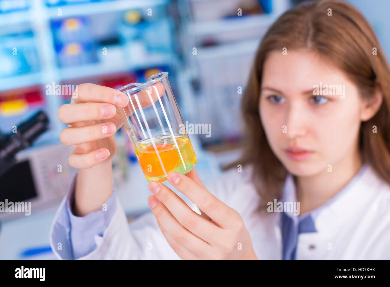 Modello rilasciato. Donna che guarda al tuorlo d'uovo nella scatola di Petri. Foto Stock