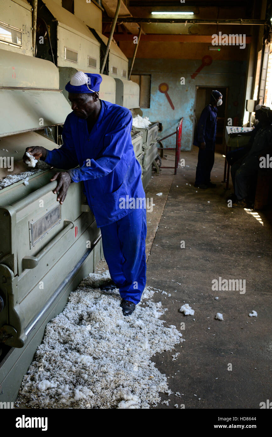 Il BURKINA FASO , Bobo Dioulasso, Société des Burkinabè Fibre tessili SOFITEX sgranatura unità aziendale Bobo io, elaborazione di convenzionali e gene manipolato Monsanto cotone BT, macchina di sgranatura / SOFITEX, Fabrik fuer Baumwollentkernung Werk Bobo I, Verarbeitung von konventioneller und genmanipulierter Monsanto Baumwolle, Entkernungsmaschinen Foto Stock