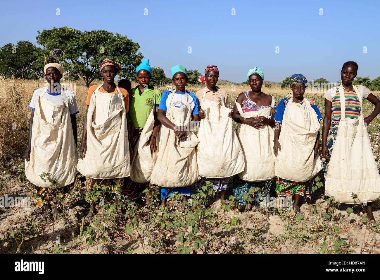 Il Burkina Faso, villaggio GOUMSIN nei pressi di sapone, biologico e del commercio equo e solidale a cotone, donne su piccola scala gruppo contadino con sacchetti di cotone per il raccolto Foto Stock