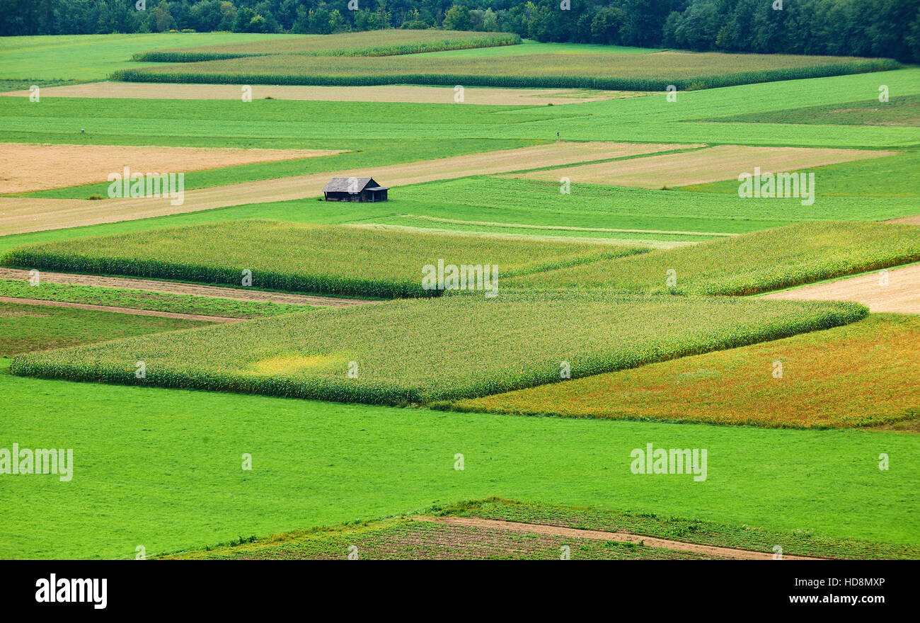 Paesaggio rurale con campi e strade fotografato dal di sopra in estate in Austria Foto Stock