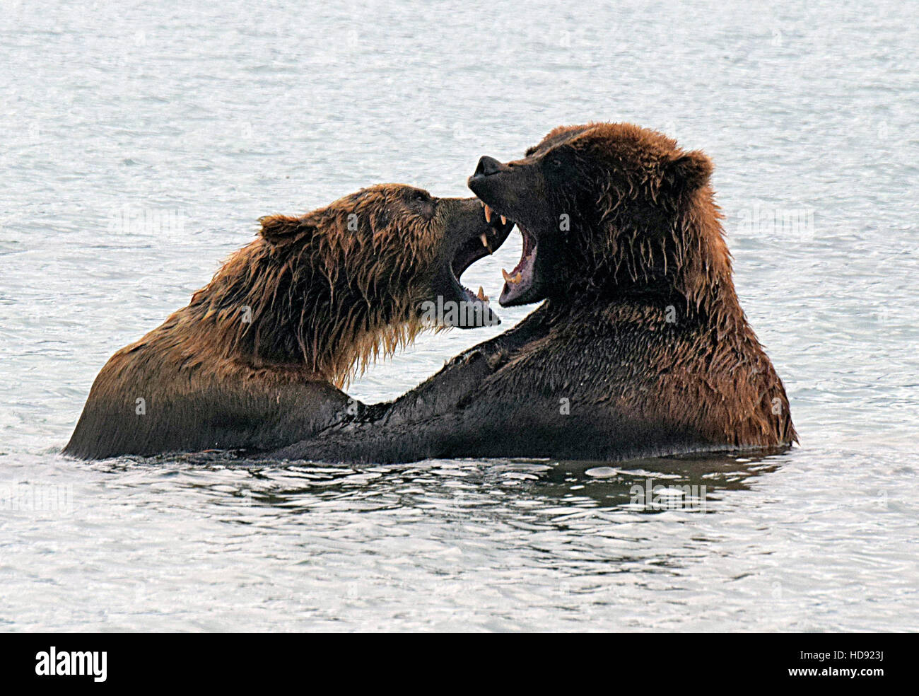 Penisola di kamchatka russia Foto Stock