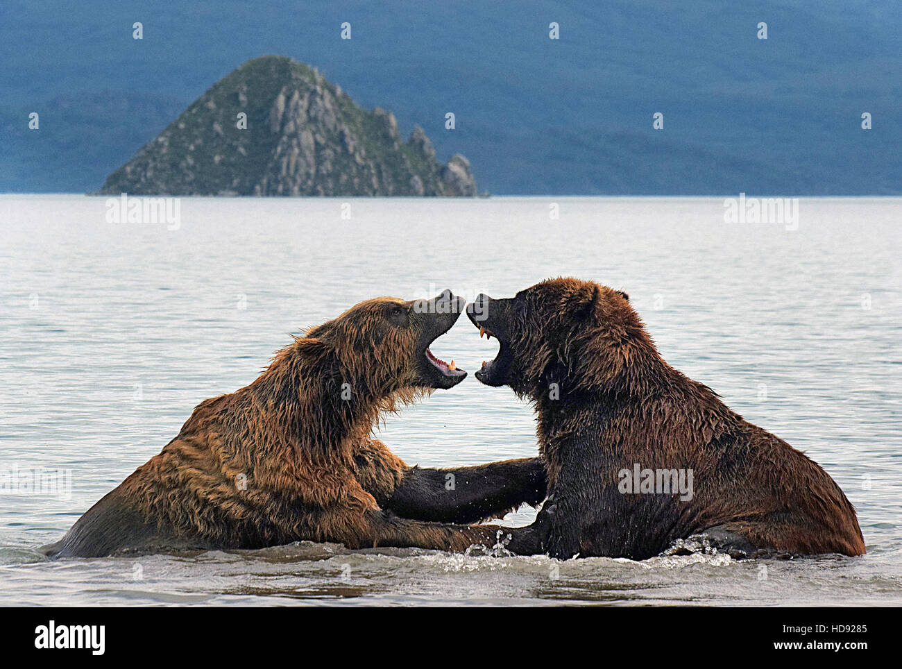 Penisola di kamchatka russia Foto Stock