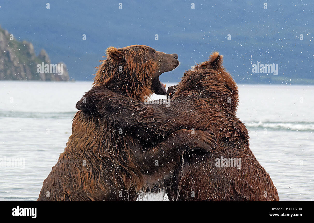 Penisola di kamchatka russia Foto Stock