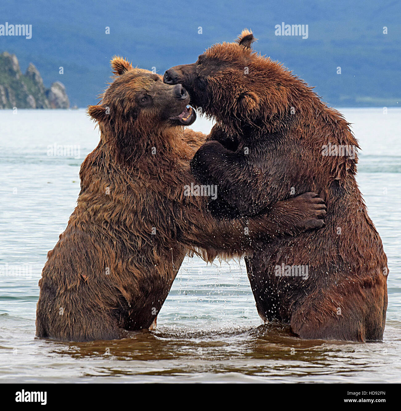 Penisola di kamchatka russia Foto Stock