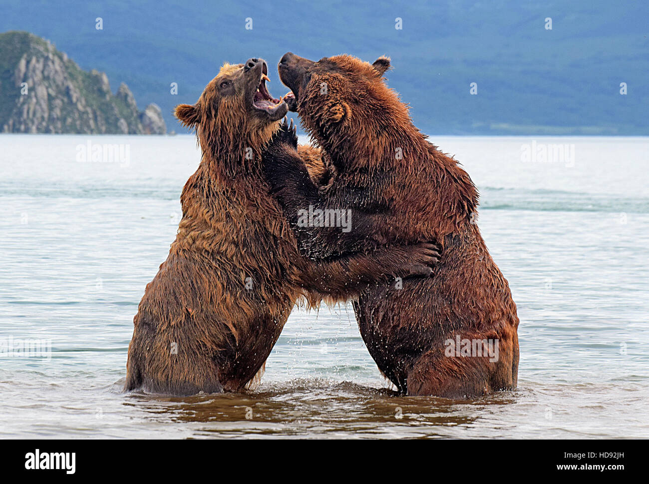 Penisola di kamchatka russia Foto Stock
