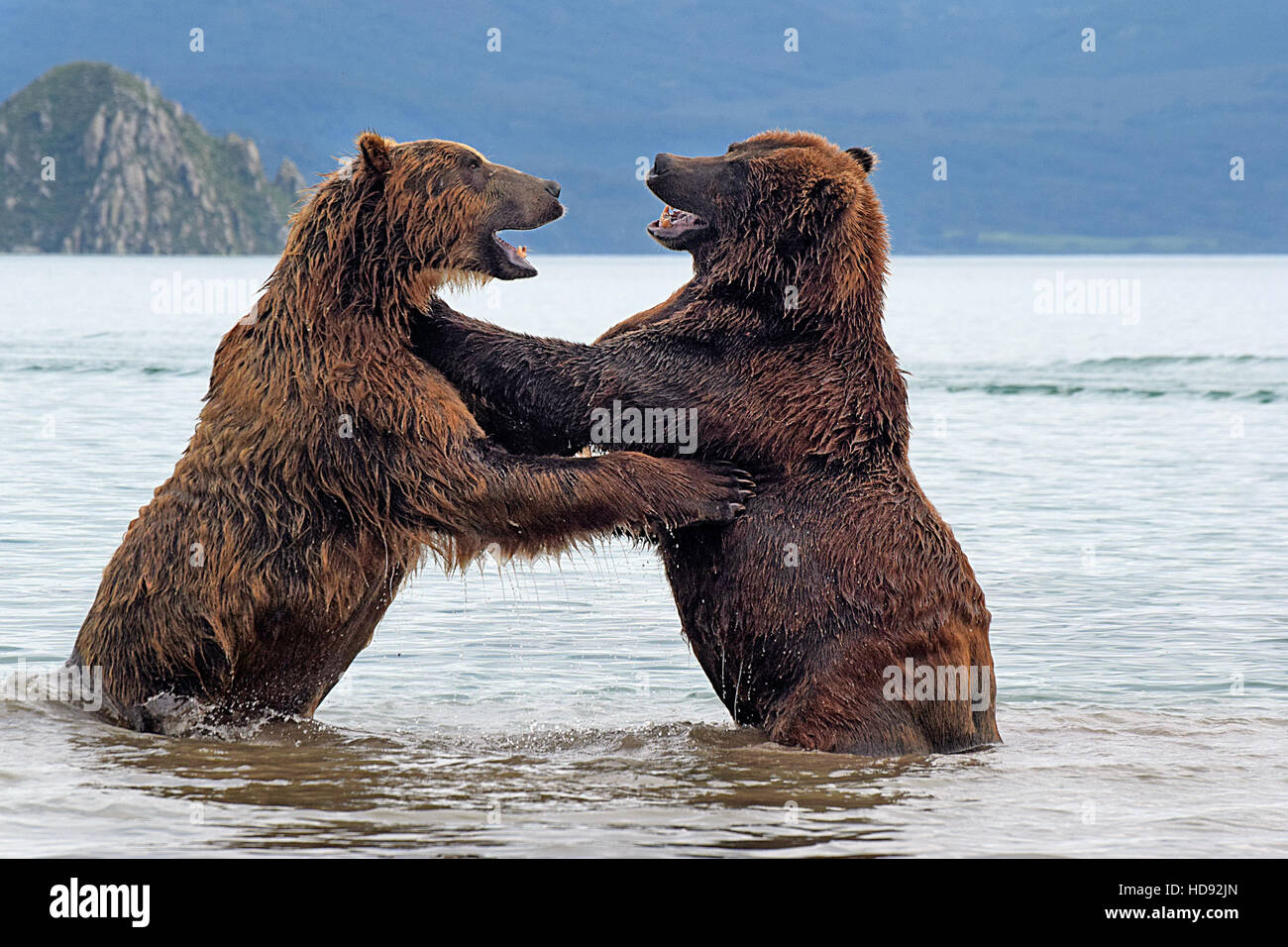 Penisola di kamchatka russia Foto Stock
