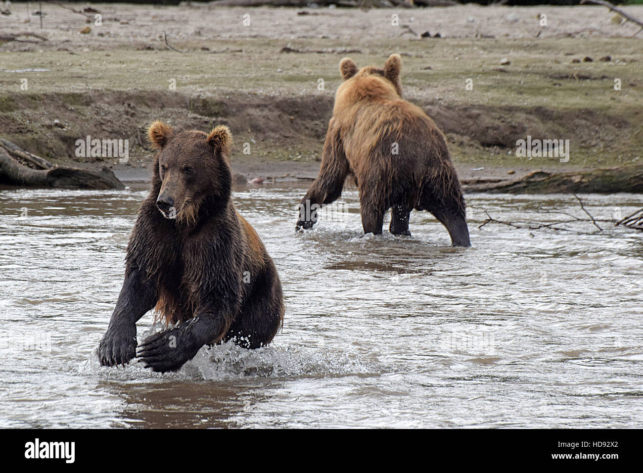 Penisola di kamchatka russia Foto Stock