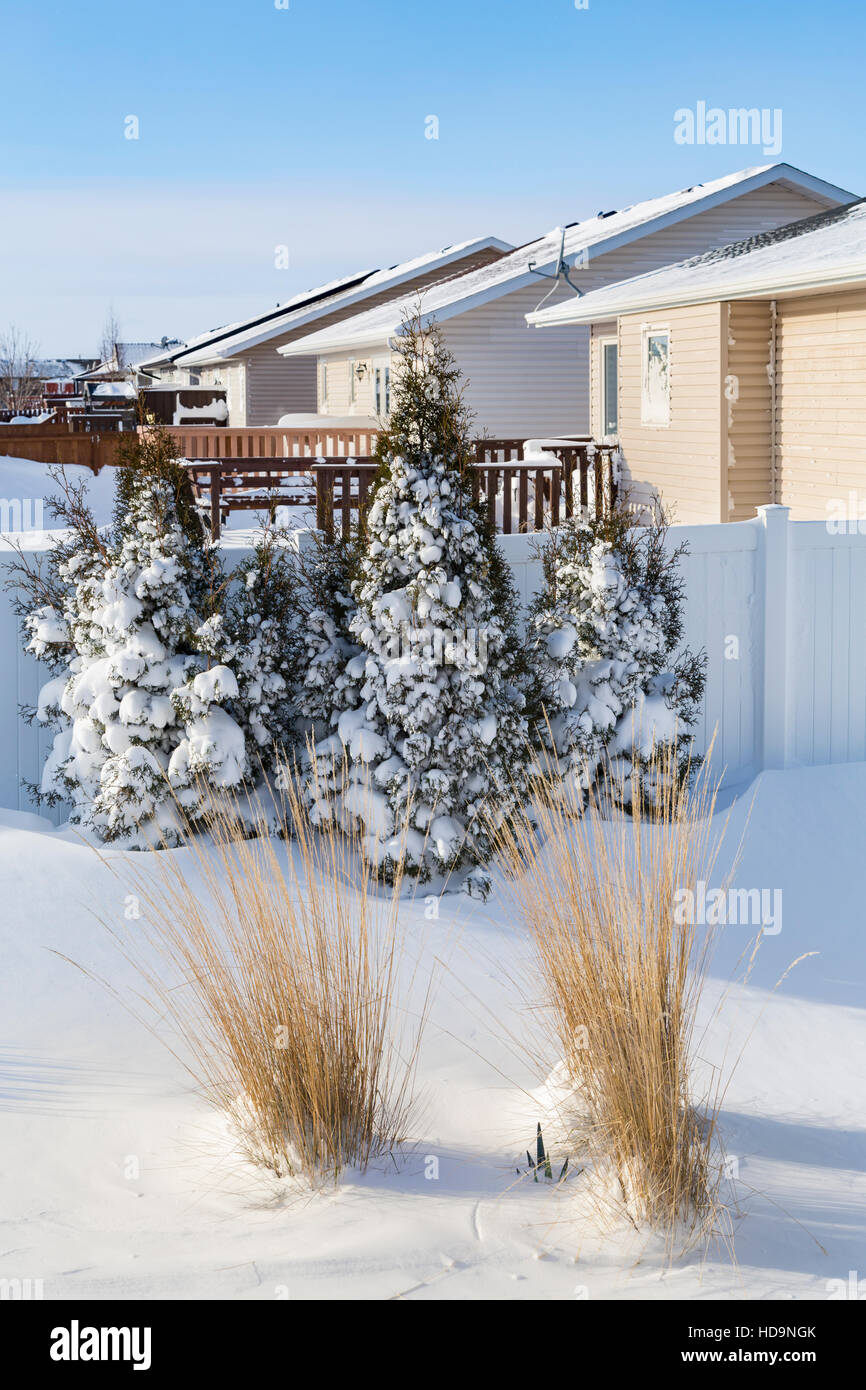 Un cortile scena di neve dopo una bufera di neve in Winkler, Manitoba, Canada. Foto Stock