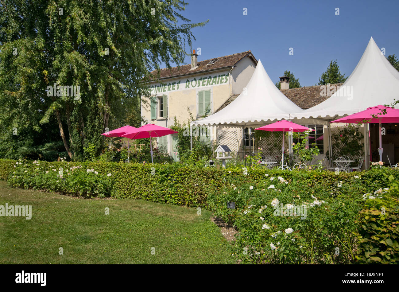 La Roseraie Provins Foto Stock