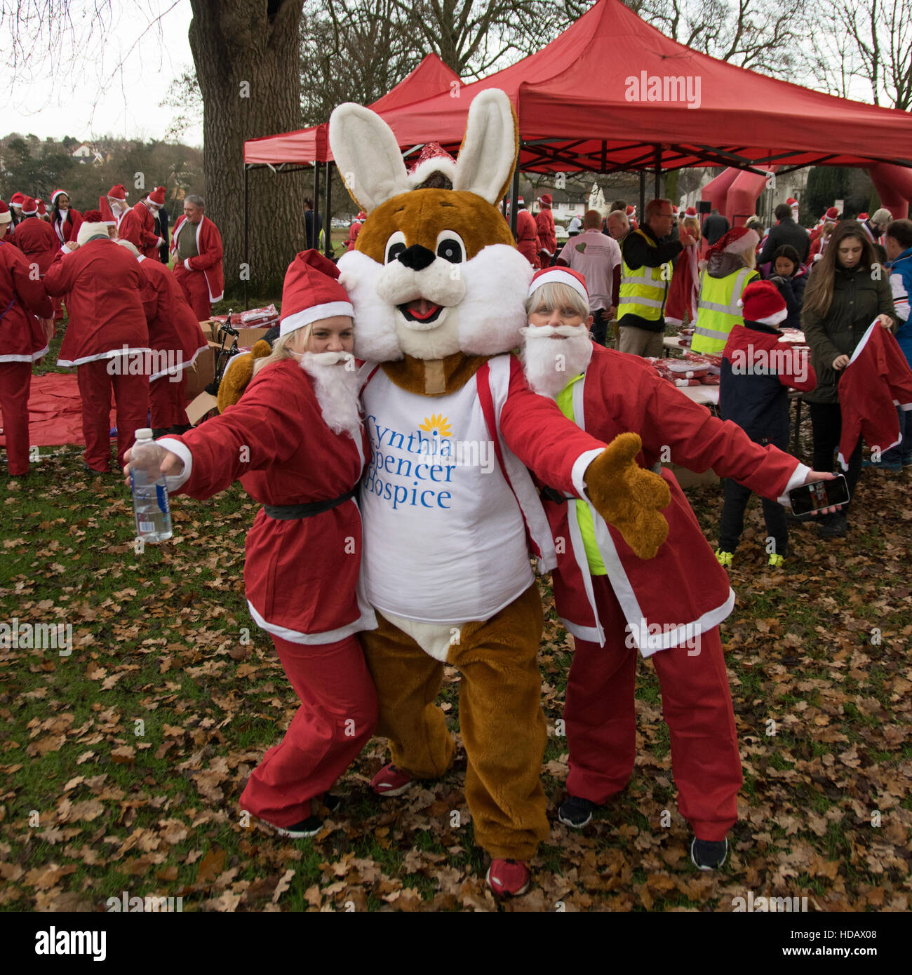 Abington Park, Northampton, Regno Unito. 11 dicembre, 2016. Santa eseguire 11 dicembre 2016 Credit: PATRICK ANTHONISZ/Alamy Live News Foto Stock