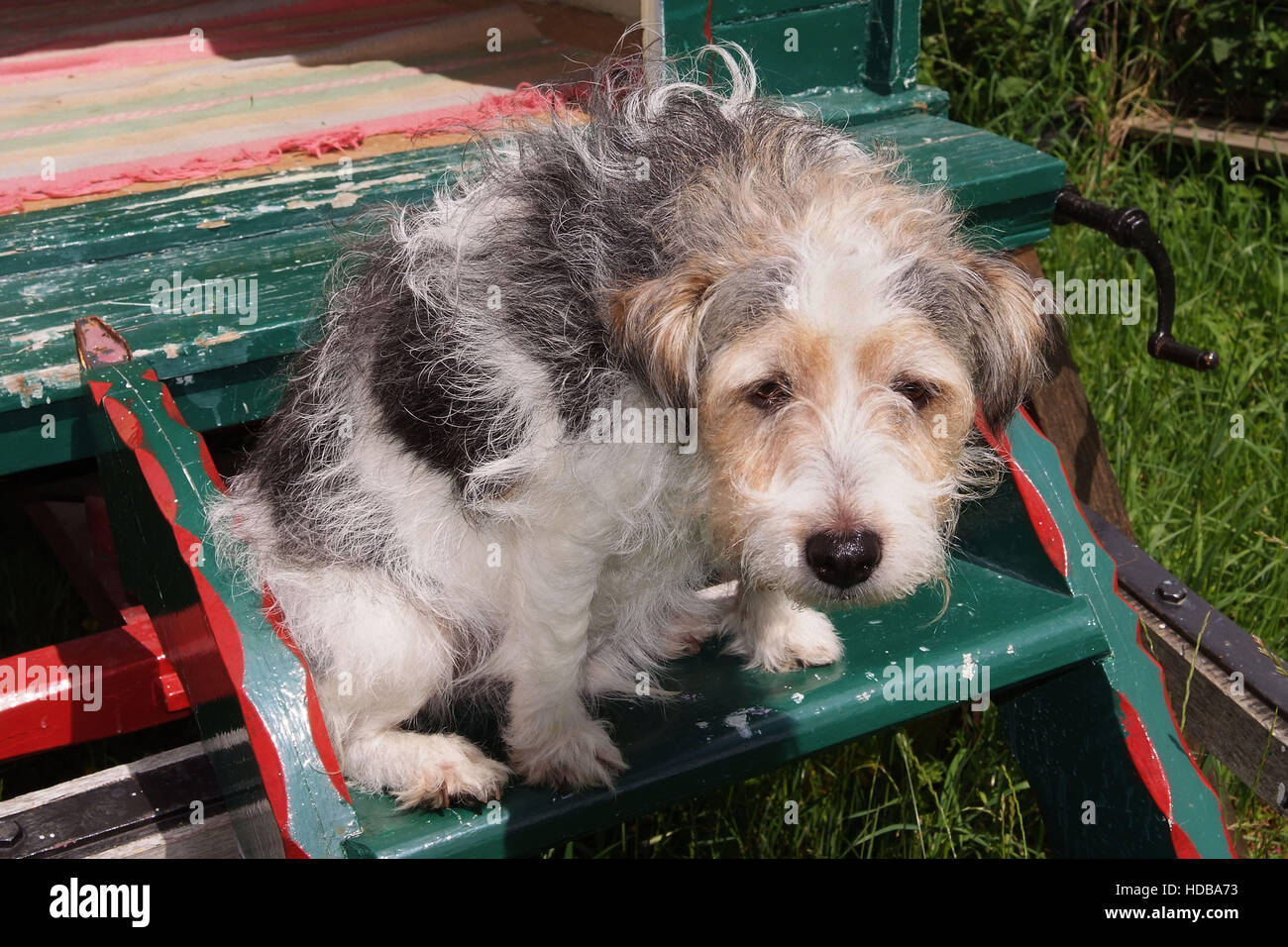 Un tradizionale 19th.secolo cavallo romany gypsy caravan. Foto Stock