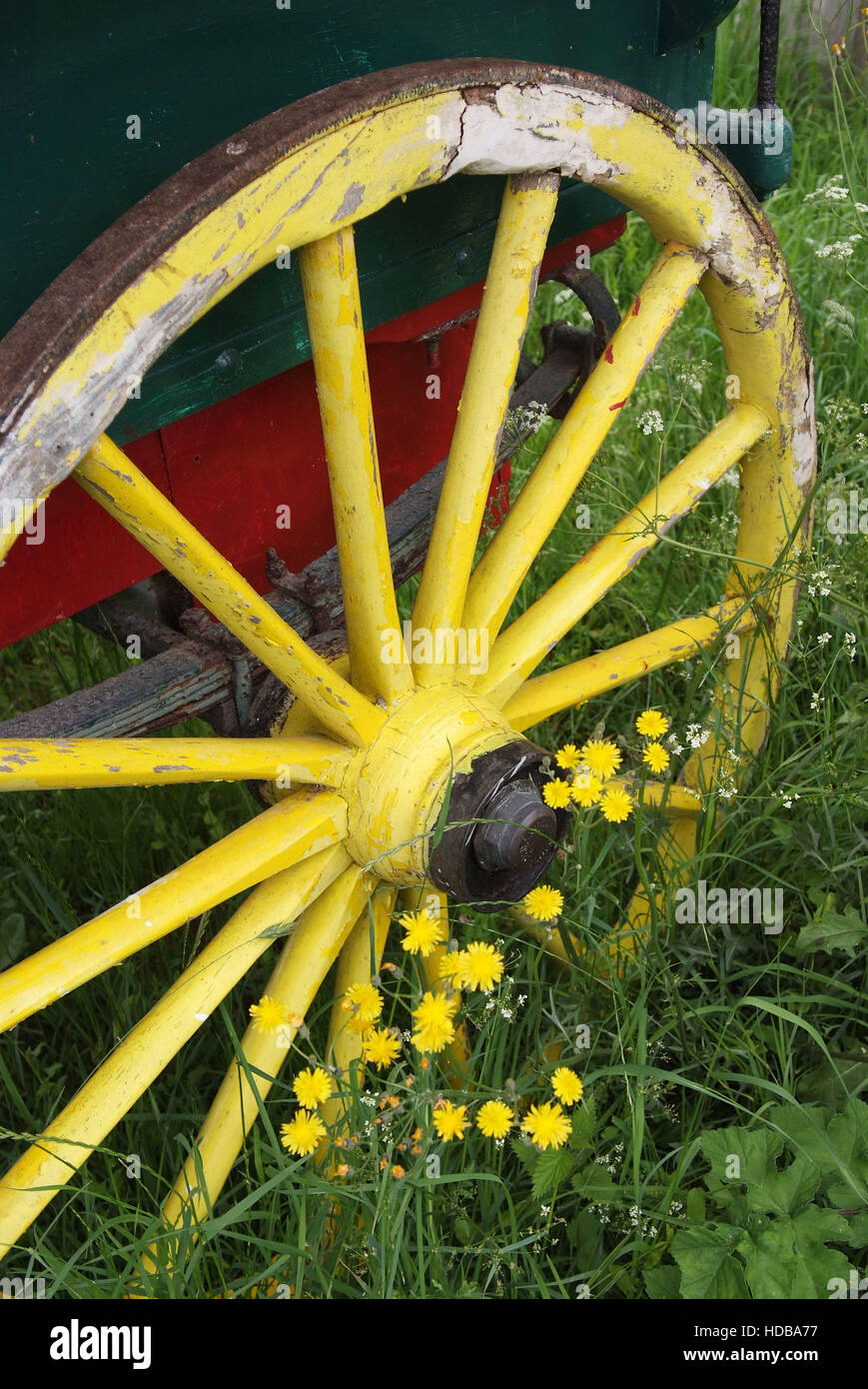 Un tradizionale 19th.secolo cavallo romany gypsy caravan. Foto Stock