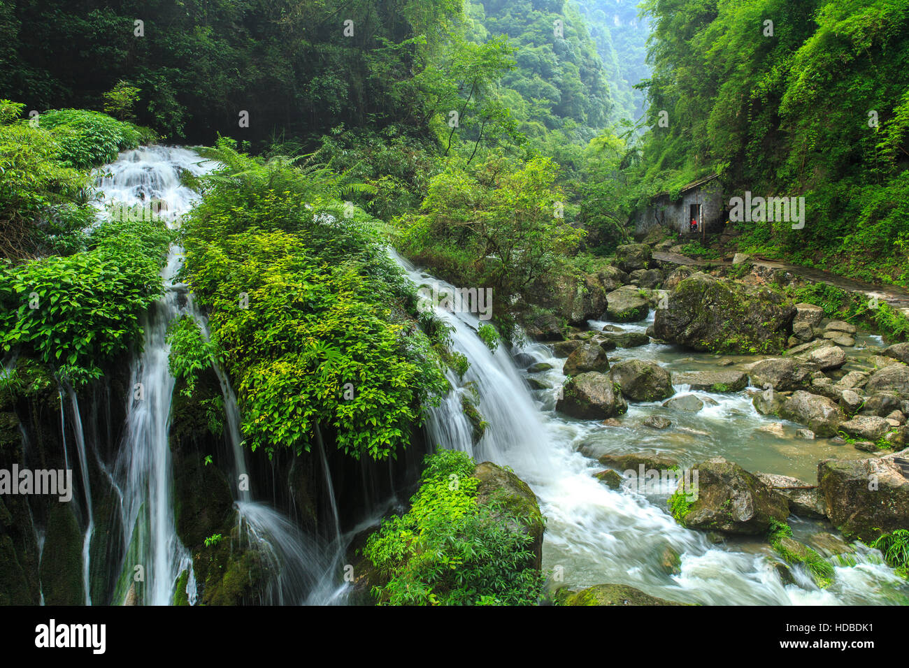 Tribù delle Tre Gole, Punto Panoramico Una cascata nella giungla, Cina. Foto Stock